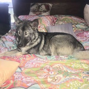 Meet your Posher, Crystal